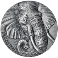 Монета «Слон», 2023 г., Серебро, 62,2 гр., проба 999, КАМЕРУН