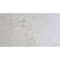 Монета "Дама с горностаем", 2019 г., Серебро, 1 500 гр., проба 999, СОЛОМОНОВЫ ОСТРОВА